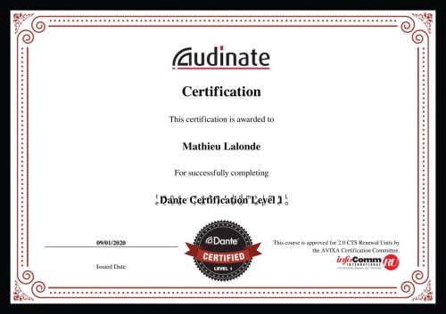 Certification for Dante Level 1: Course amp; Exam - ENGLISH